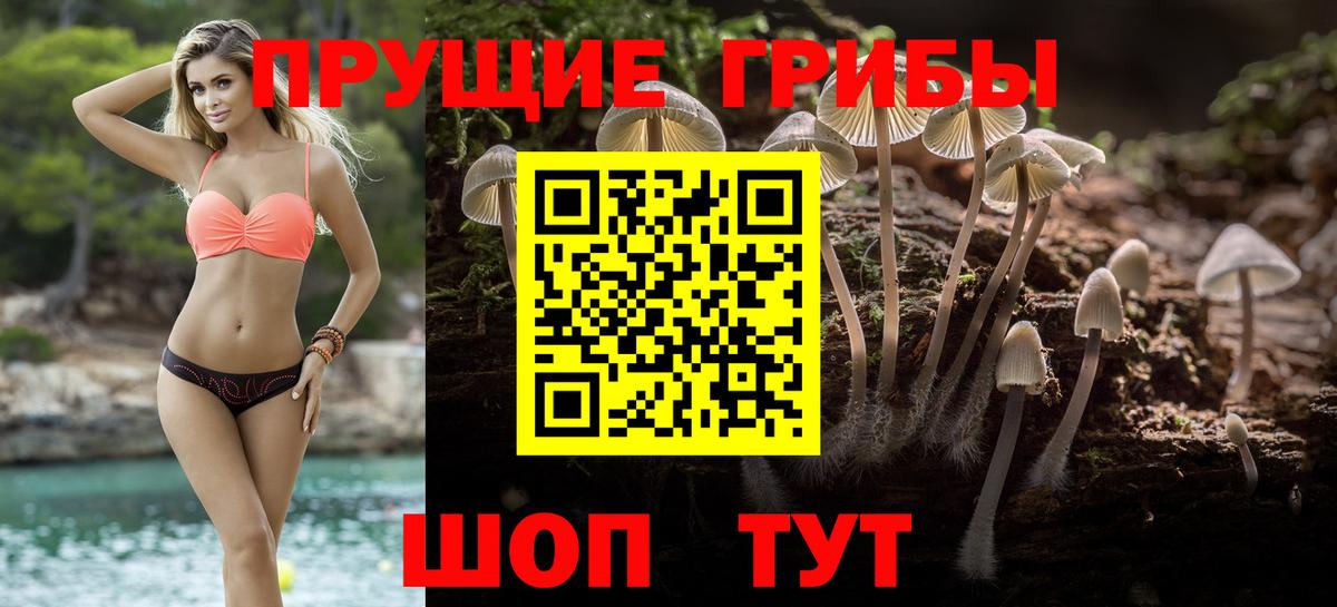 Псилоцибиновые грибы Cubensis  Галлюциногенные грибы Magic Shrooms  Верхняя Салда  Вход с VPN 